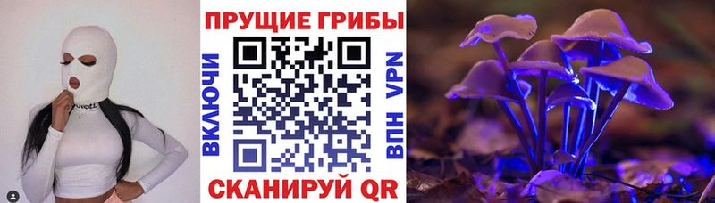 Галлюциногенные грибы мухоморы  Купить где  Петрозаводск 